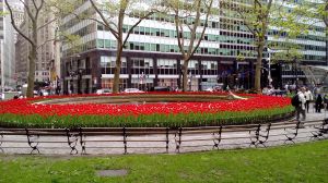 20170430_105858.jpg